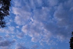 20220926_191421-2