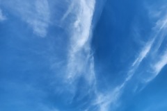 20221114_14443-Copy