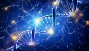 Cord Cutting Process