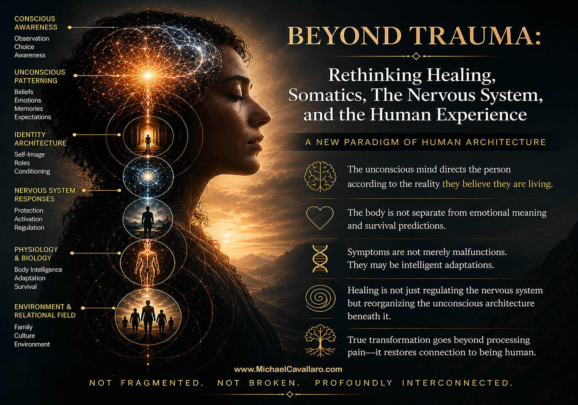 Michael Cavallaro Transformational Healing Framework